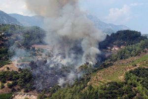 Antalya'da orman yangını