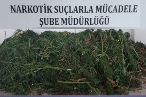 Depo değil, uyuşturucu deposu