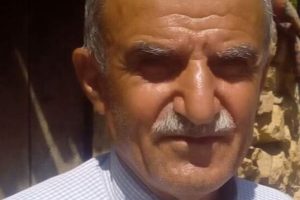Palamut toplamak i&ccedil;in &ccedil;ıktığı ağa&ccedil;tan d&uuml;şerek &ouml;ld&uuml;