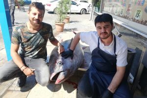 240 kiloluk Orkinos ilgi odağı oldu