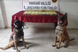 Jandarmadan zehir tacirlerine darbe