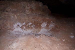 Definecilerin kurduğu d&uuml;zenek imha edildi