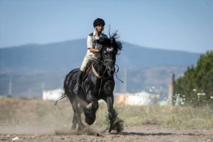 Bursa'da yetiştirilen Gemlik atları TSK'nın heybetli yüzü oldu