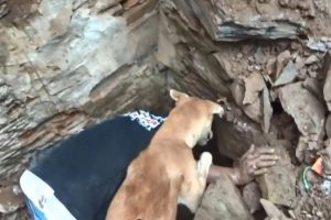 Yavrular i&ccedil;in anne k&ouml;pek ve g&ouml;revliler seferber oldu