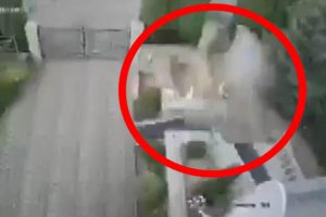 Bombalı paketi a&ccedil;an rekt&ouml;r&uuml;n eli koptu
