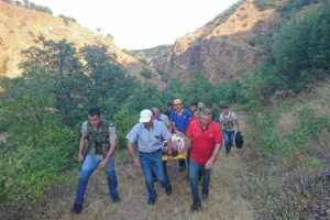 Ceviz ağacından d&uuml;şen kişi i&ccedil;in seferber oldular
