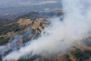Korkutan yangın! 50 kişi m&uuml;dahale ediyor
