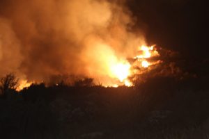 Muğla'nın Bodrum il&ccedil;esinde makilik alanda yangın &ccedil;ıktı
