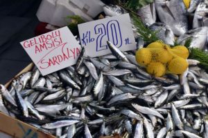 Hamsinin kilosu 30 liraya y&uuml;kseldi