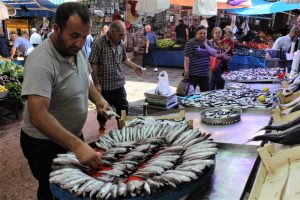 Bursa'da tezgahtaki en ucuz balık sardalya