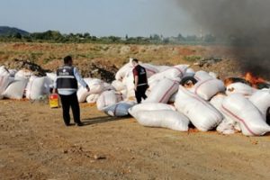 25 ton &ccedil;&uuml;r&uuml;m&uuml;ş domates atığı ele ge&ccedil;irildi