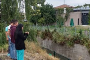 K&ouml;pekleri zehirleyerek su kanalına attılar!