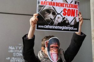 'Deneye Hayır Derneği' kuruldu