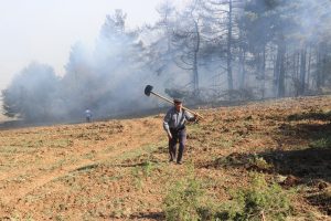 Bolu'da orman yangınında 10 d&ouml;n&uuml;ml&uuml;k alan k&uuml;l oldu