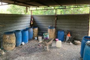 Adana'da 6 bin litre sahte i&ccedil;ki ele ge&ccedil;irildi