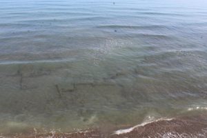 Denizde fark edilen kalıntılar sonrası harekete ge&ccedil;ildi