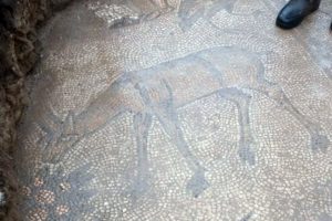 1500 yıllık mozaik, ka&ccedil;ak kazıda ortaya &ccedil;ıktı