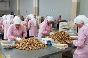 Nazilli Ticaret Borsası'ndan Cumhurbaşkanı Erdoğan'a teşekk&uuml;r