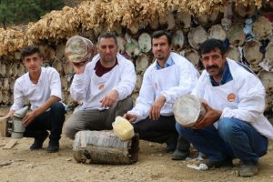 Herekol Dağı'nda 'huzurlu' bal &uuml;retimi