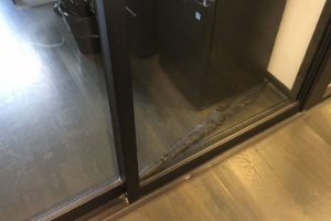 Kapıya sıkışan şemsiye y&uuml;z&uuml;nden &ccedil;alışanlar g&uuml;nlerce ofise giremedi
