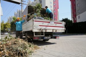 Bursa'da budama atıkları yeniden toprağa kazandırılıyor