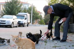 Babasının vasiyetiyle hayatını sokak hayvanlarına adadı