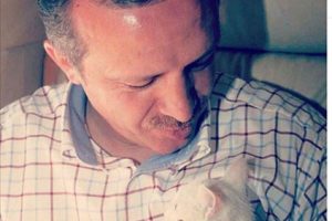 Cumhurbaşkanı Erdoğan'dan Van kedili 'tbt' paylaşımı
