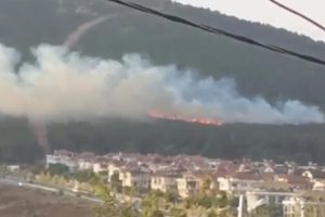 Pendik'teki orman yangınıyla ilgili yeni gelişme: G&ouml;zaltına alındı