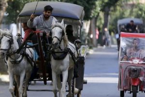 Adalar Belediye Başkanı Erdem G&uuml;l: Faytonları kaldırmak &ccedil;ok zor