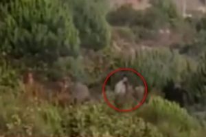 Bakan a&ccedil;ıkladı! Pendik'teki yangın ter&ouml;r bağlantılı