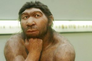 Neandertalleri orta kulak iltihabı ortadan kaldırmış olabilir