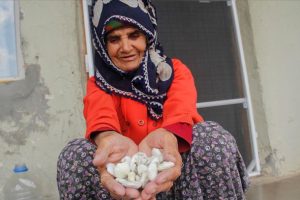 'Kenger sakızı' kadınların ge&ccedil;im kaynağı oldu