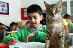 'Tar&ccedil;ın' &ouml;ğrencilerle derslere giriyor