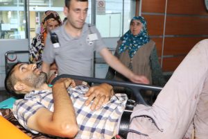 Ayı saldırı can aldı