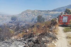 Samandağ'da bitki &ouml;rt&uuml;s&uuml; yangını