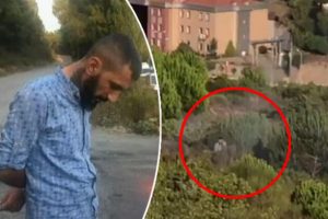 Pendik'te orman yakan şahıs tutuklandı