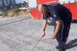 İtfaiyecinin yılanın başını demir &ccedil;ubukla ezmesine inceleme