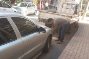 &Ouml;len yavrusunun başında bekledi