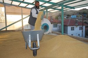 Taş değirmende geleneksel y&ouml;ntemlerle bulgur &uuml;retiyor