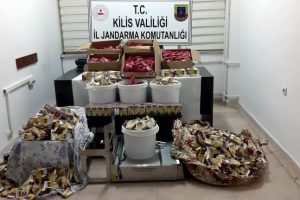 Jandarma ekiplerince nargile t&uuml;t&uuml;n&uuml; operasyonu d&uuml;zenlendi