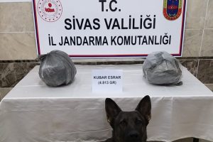 Ka&ccedil;ak&ccedil;ılar jandarmaya takıldı