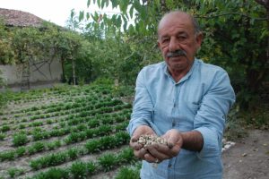 &Ccedil;i&ccedil;eğin her b&ouml;l&uuml;m&uuml; ayrı para ediyor
