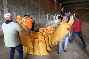 Fındık alımları t&uuml;m hızıyla devam ediyor