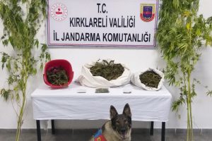 Kırklareli'de kubar esrar ele ge&ccedil;irildi
