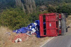 Meyve y&uuml;kl&uuml; kamyon devrildi