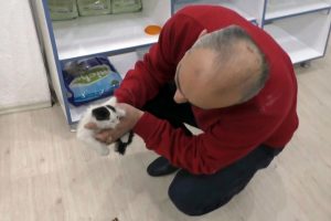 Havalandırma boşluğuna d&uuml;şen yavru kedi kurtarıldı