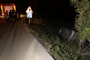 Sakarya'da otomobil şarampole u&ccedil;tu