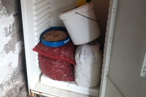 Antalya'da midye operasyonu yapıldı