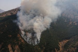 Akkaya k&ouml;y&uuml;nde yangın &ccedil;ıktı