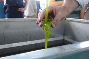 Sezonun ilk zeytinyağı &uuml;retildi
